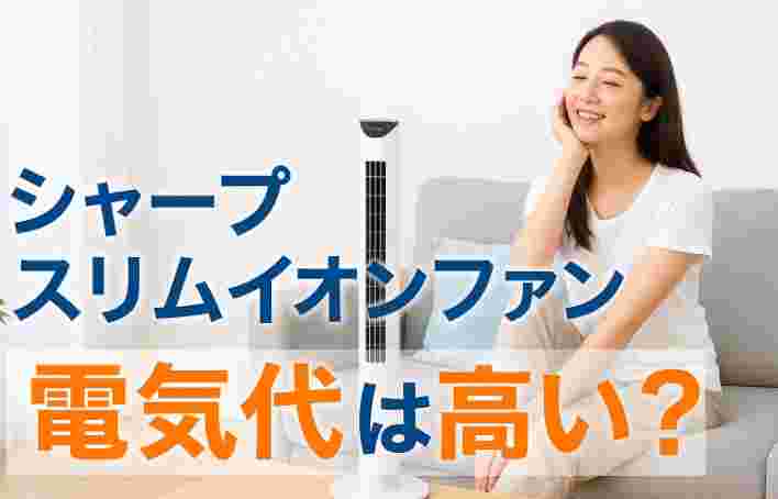 スリムイオンファン