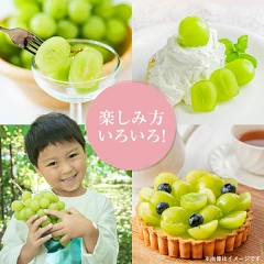 ふるさと納税　駆け込み　シャインマスカット